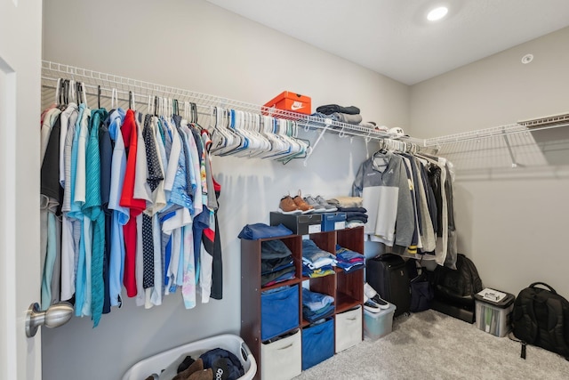 spacious closet featuring carpet floors