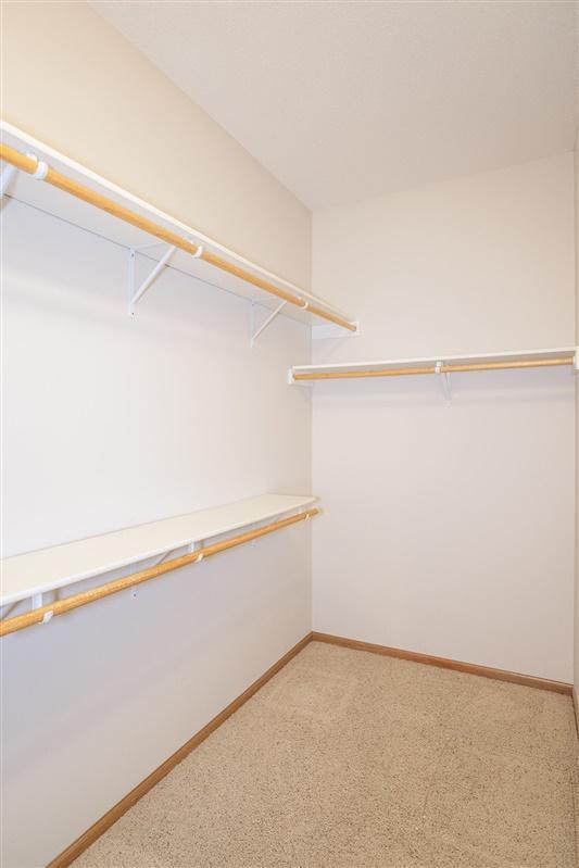 spacious closet featuring carpet