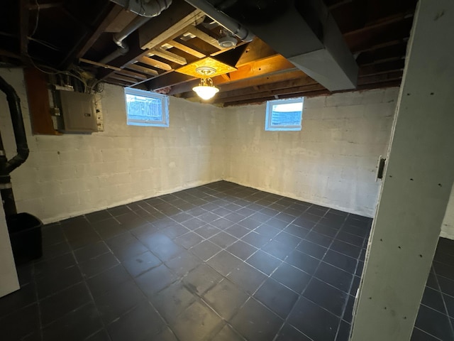 basement with electric panel