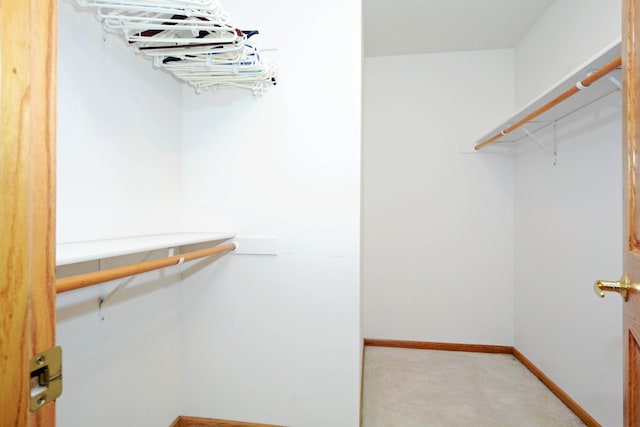 spacious closet featuring light colored carpet