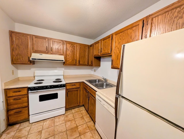 kitchen with light countertops, brown cabinetry, a sink, ventilation hood, and white appliances