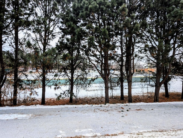 view of yard covered in snow