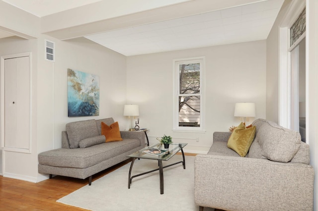 living room featuring wood-type flooring