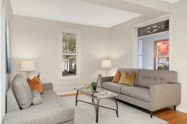 living room featuring light hardwood / wood-style flooring