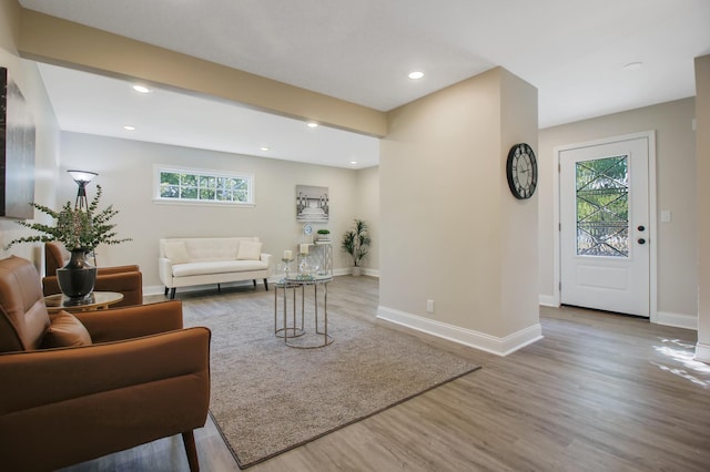 living room with hardwood / wood-style floors