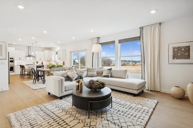 living room featuring light hardwood / wood-style flooring