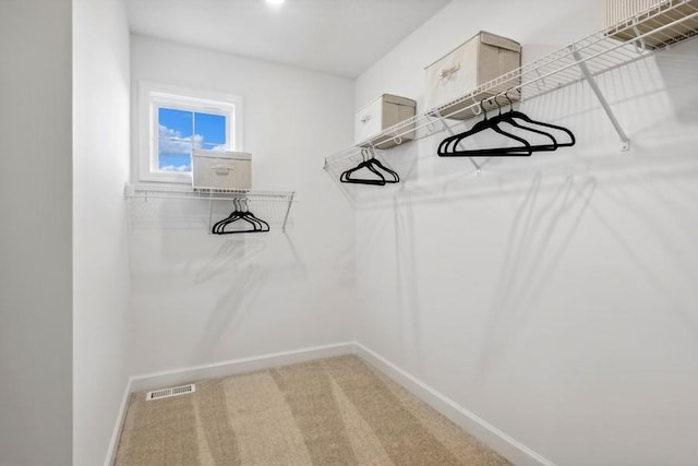 walk in closet featuring carpet flooring