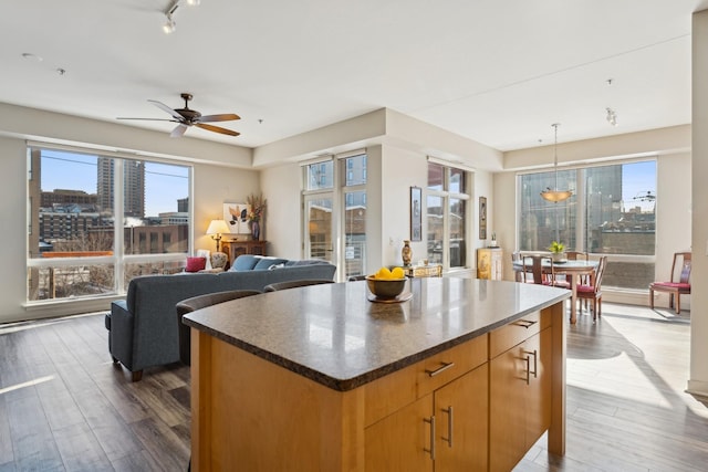 kitchen with hanging light fixtures, open floor plan, dark wood finished floors, and a center island