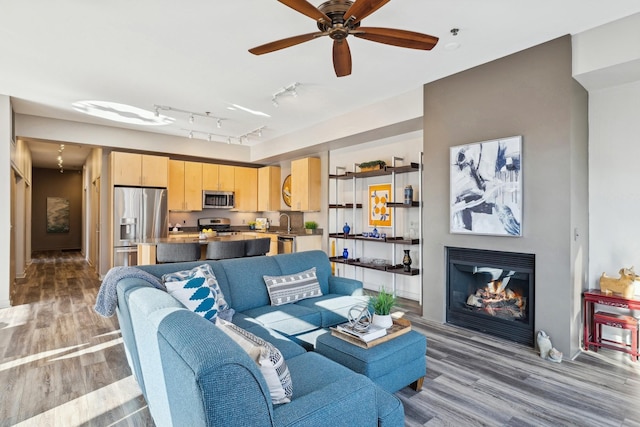 living area with rail lighting, ceiling fan, wood finished floors, and a glass covered fireplace