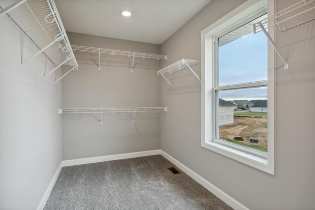 spacious closet with carpet floors