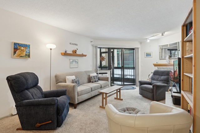 living area featuring a textured ceiling, rail lighting, and light colored carpet