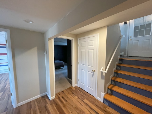 stairway with hardwood / wood-style flooring