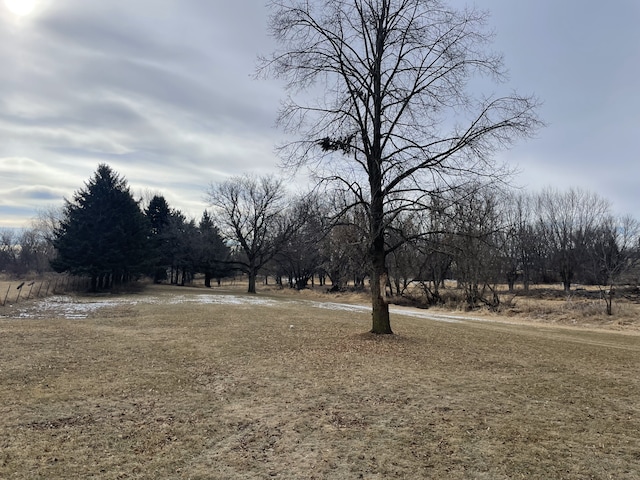 view of yard featuring a rural view