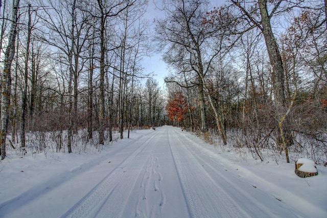 view of road