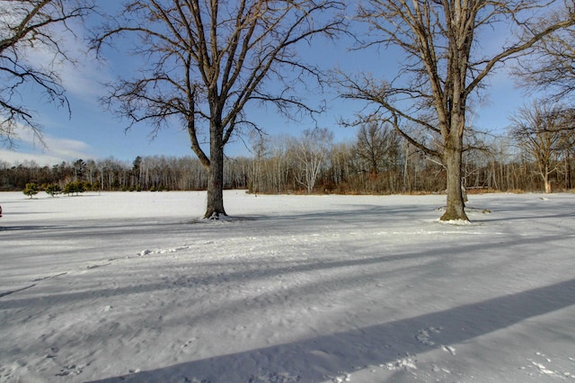 yard layered in snow with a view of trees