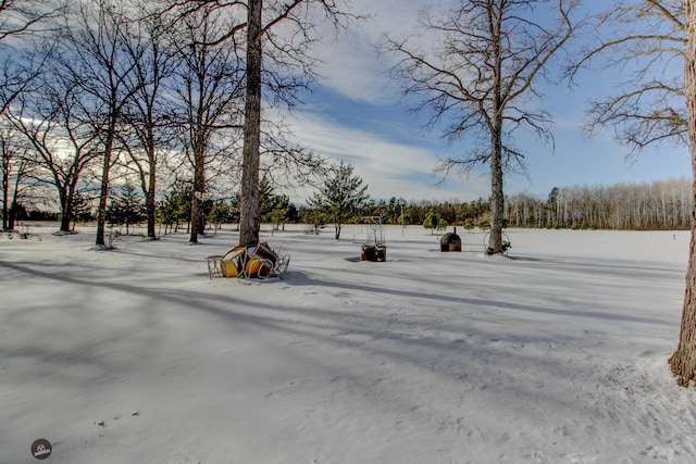 view of snowy yard