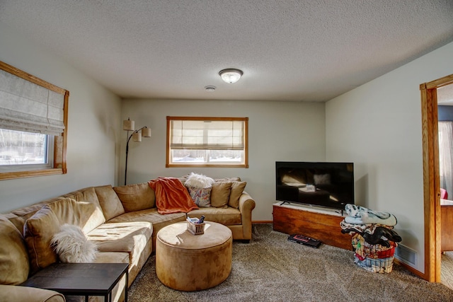 carpeted living area featuring a textured ceiling and plenty of natural light