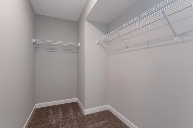 spacious closet featuring dark colored carpet