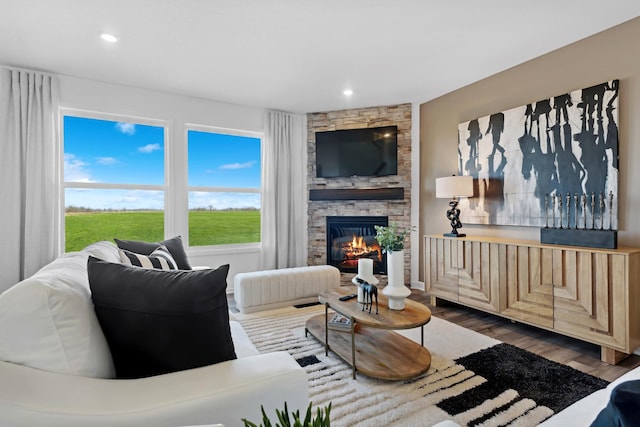 living room with a stone fireplace and dark hardwood / wood-style flooring