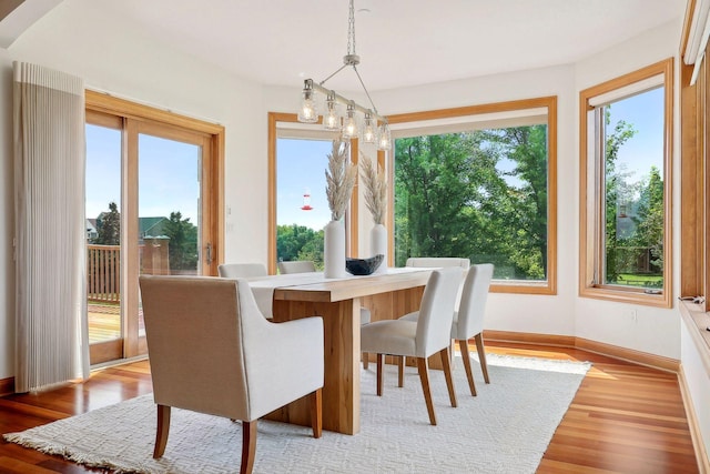 dining area featuring a healthy amount of sunlight and light hardwood / wood-style floors