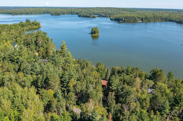 8317 Soderholm Beach Rd, Beatty Twp, MN 55723 - photo 20
