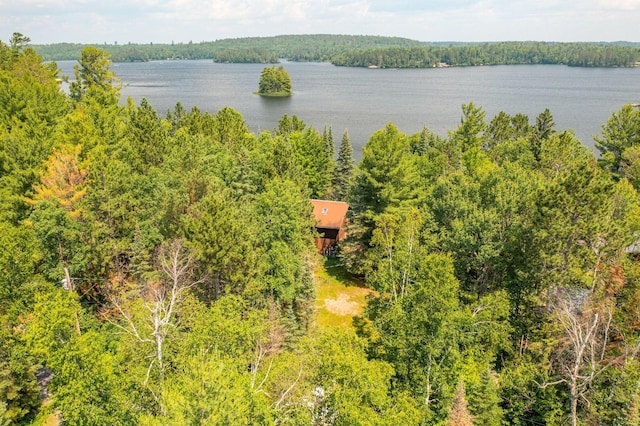 8317 Soderholm Beach Rd, Beatty Twp, MN 55723 - photo 28