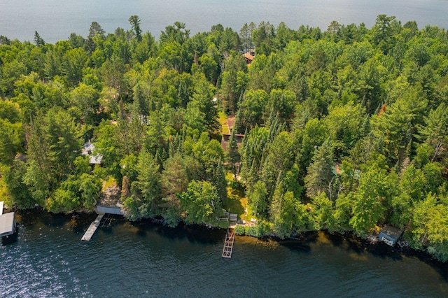8317 Soderholm Beach Rd, Beatty Twp, MN 55723 - photo 25