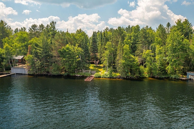 8317 Soderholm Beach Rd, Beatty Twp, MN 55723 - photo 26