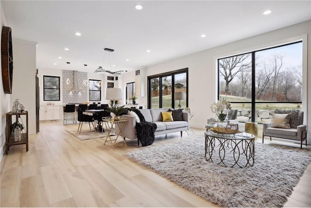 living room with light hardwood / wood-style flooring