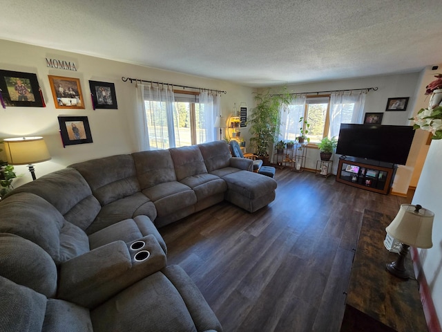 living room with a healthy amount of sunlight, dark hardwood / wood-style floors, and a textured ceiling