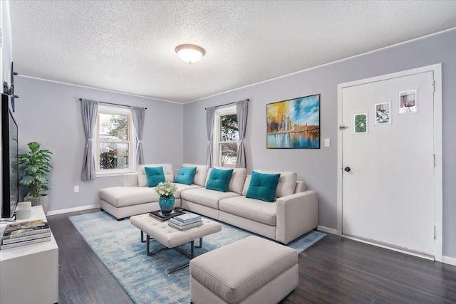 living room with dark hardwood / wood-style flooring and a textured ceiling