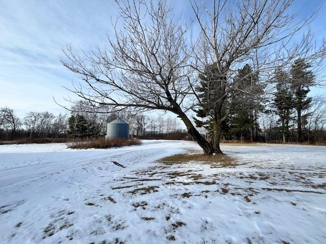 view of yard covered in snow