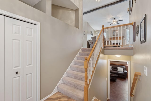 stairway with wood-type flooring, beamed ceiling, ceiling fan, and a high ceiling