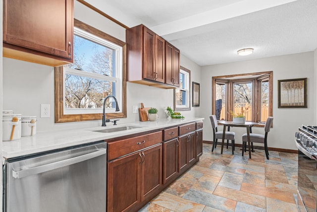 kitchen featuring plenty of natural light, sink, and stainless steel dishwasher