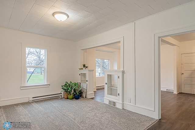 carpeted empty room featuring a wealth of natural light and a baseboard heating unit