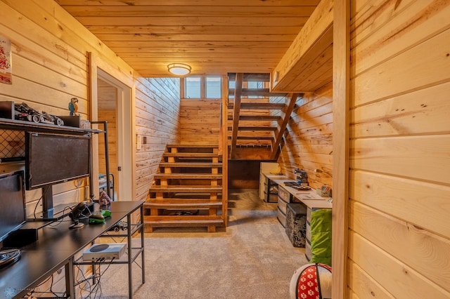 stairs featuring wood ceiling, carpet floors, and wood walls