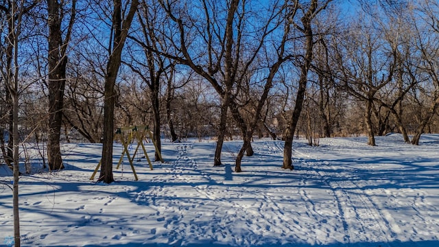 view of snowy yard