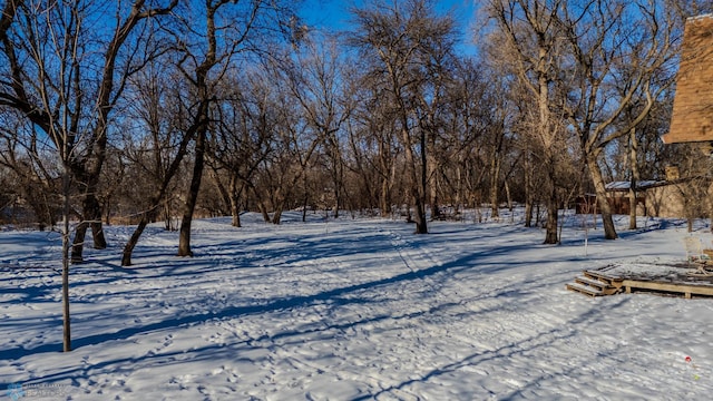 view of snowy yard