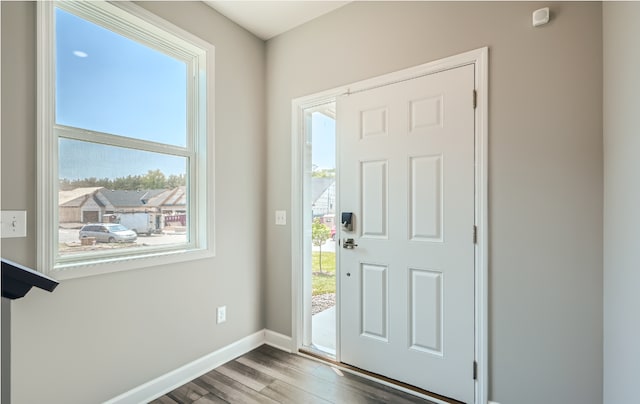 foyer entrance featuring a healthy amount of sunlight and dark hardwood / wood-style flooring