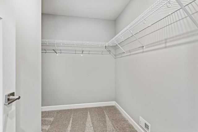 spacious closet with carpet floors