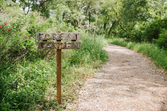 view of road