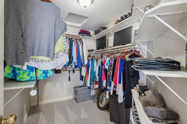 walk in closet featuring carpet floors