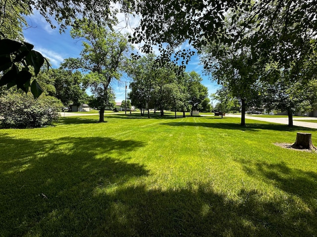 view of community with a lawn