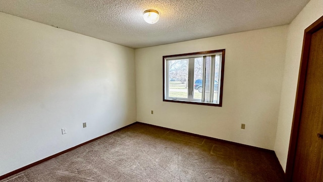 spare room with carpet and a textured ceiling