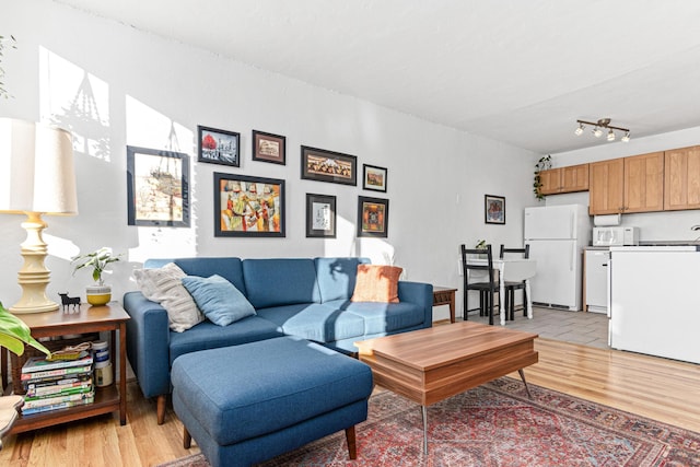 living room with light hardwood / wood-style floors