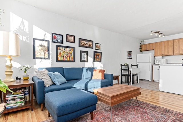 living room with light hardwood / wood-style flooring