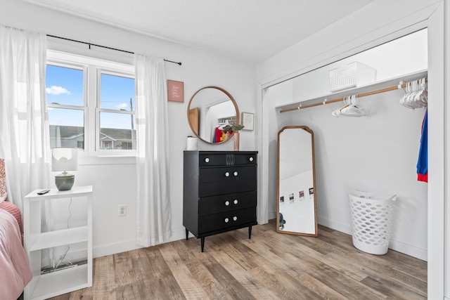 spacious closet with hardwood / wood-style flooring