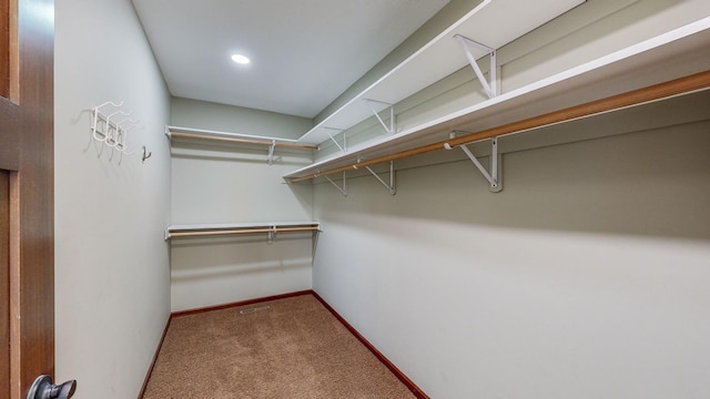 walk in closet featuring carpet