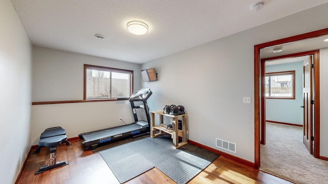 workout room featuring wood-type flooring