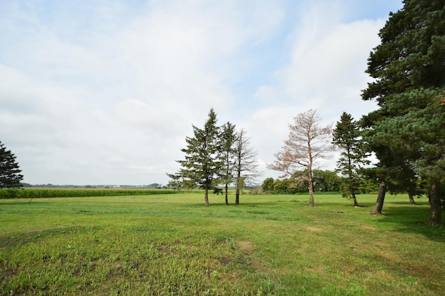 view of yard with a rural view